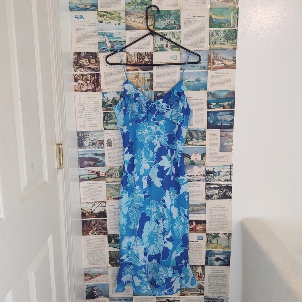 Express Floral Dress